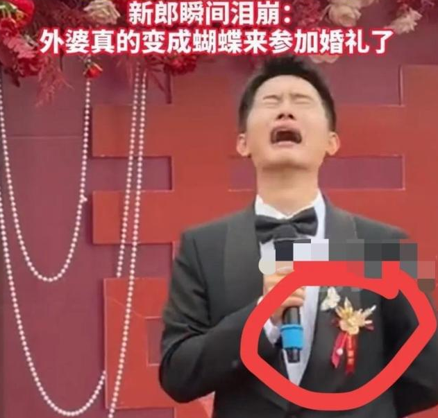 蝴蝶停在新郎胸口那一刻心震了