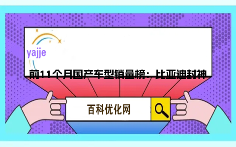 前11个月国产车型销量榜：比亚迪封神 前十独占八席